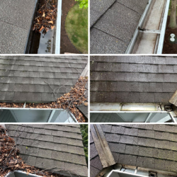Gutter Cleaning