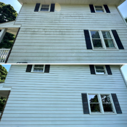 House Siding Soft Washing