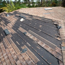 Storm Damage Roof Replacement & Repairs
