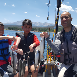 Give Certificates Available