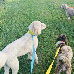 Play and Pamper Experience