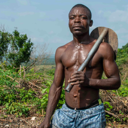 Agricultural Development