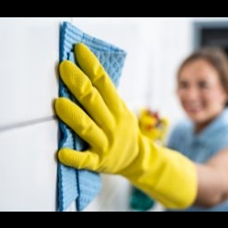 Dusting