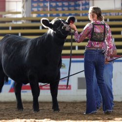 Management Practices