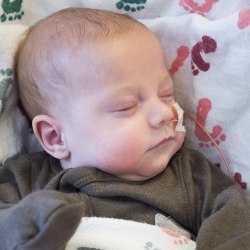 Fetal Cardiology Program