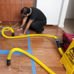 Reconstruction Services