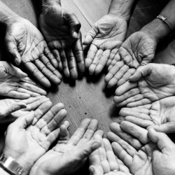 Group Psychotherapy
