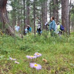 Guided Walks
