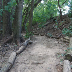 Nature Trail