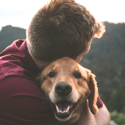 Pet Loss Support Group