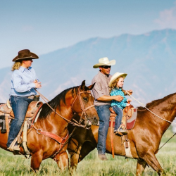 Investment Strategies