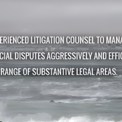 Litigation