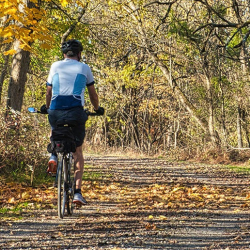 Fitness Bikes