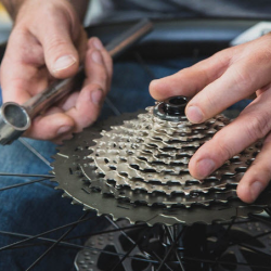 Plan Your Bike Service