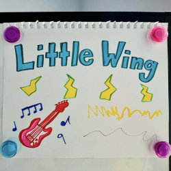 Little Wing Ages 4-5