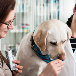Pet & Animal Pharmacy