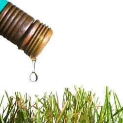 Watering Restrictions