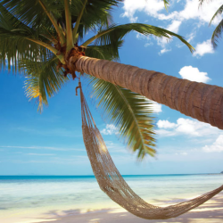 Exclusive Savings & Amenities