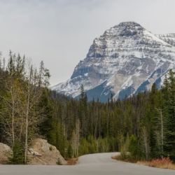 Commit To A Definite Purpose