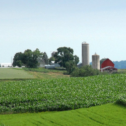For your Farm