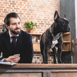 Pasadena Dog Bite Lawyer