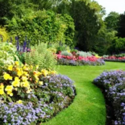 Planting - Flowers, Shrubs, Trees, and Ground Cover