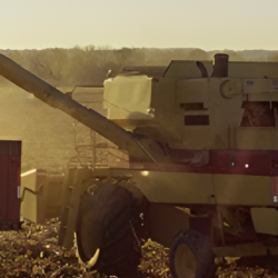 Agriculture Services