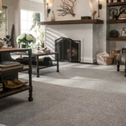 Carpet