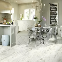 Luxury Vinyl Tile and Plank