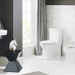 Bathroom Design