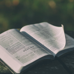 Christian Counseling
