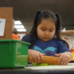 Early Childhood Special Education Services