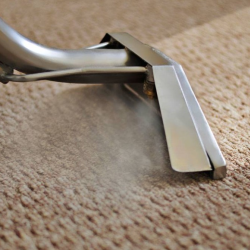 Carpet Cleaning