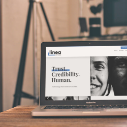 Brand Discovery Workshops