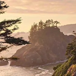 Insurance Options for Members