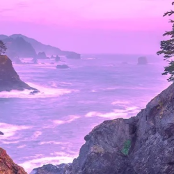 Business Deposit Accounts