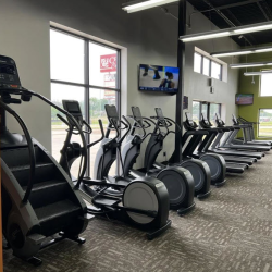 Cardio Equipment
