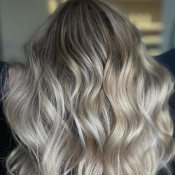 Full Highlight