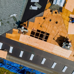 Storm Damage Services