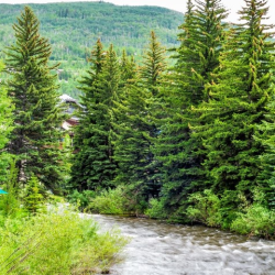 Find a Home In the Mountains