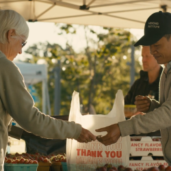 Advertising Campaign