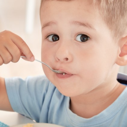 Kids Lunch Options