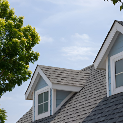 Transparent Roof Inspections
