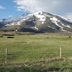 Discover Welcome Walking Tour