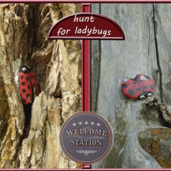 Ladybug Scavenger Hunt