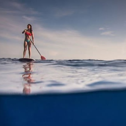 Poetic Sports Portraits