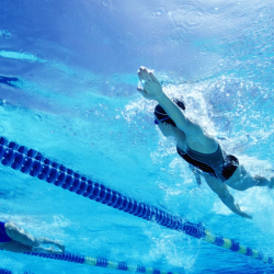 Aquatics