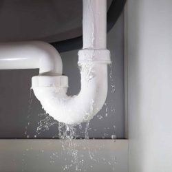 Water Damage Cleanup, Repair, and Restoration