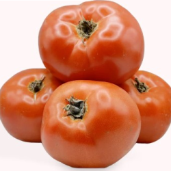 Farmers Market Produce
