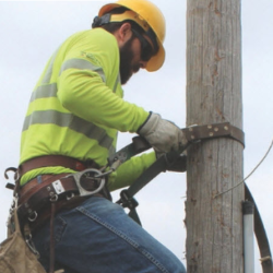 Economic Development